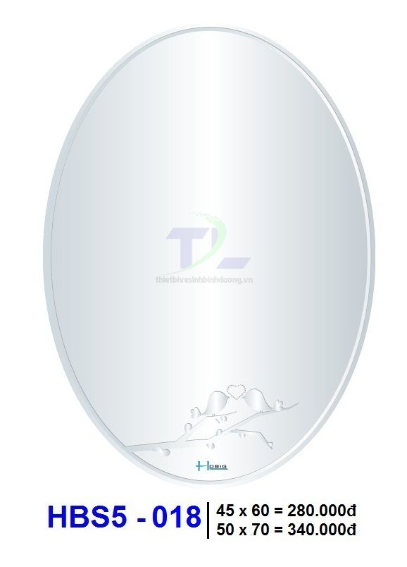 Gương soi phòng tắm HOBIG HBS5-018